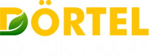 Bursa Koltuk Yıkama